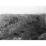 Site: Giza; View: G 4820, G 4830