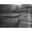 Site: Giza; View: G 4820, G 4810, G 4813