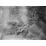 Site: Giza; View: G 7000 X