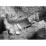 Site: Giza; View: G 7143, G 7145+7147