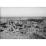 Site: Giza; View: G 2004, G 2005