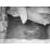 Site: Giza; View: G 2037
