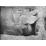 Site: Giza; View: G 2037