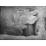 Site: Giza; View: G 2037
