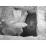Site: Giza; View: G 2037