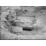Site: Giza; View: G 2004