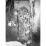 Site: Giza; View: G 2413
