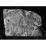 Site: Giza; view: G 2382, G 2381