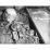 Site: Giza; View: G 2381