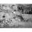 Site: Giza; View: G 4733