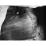 Site: Giza; View: G 4520