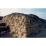 Site: Giza; View: G 2170
