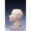 Site: Giza; view: G 4540