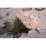Site: Giza; View: G 2135