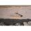 Site: Giza; View: G 2150
