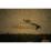 Site: Giza; View: G 2150