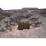 Site: Giza; View: G 2150