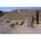 Site: Giza; View: G 2150