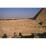 Site: Giza; View: G 2150