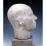 Site: Giza; view: G 4440