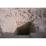 Site: Giza; View: G 2150