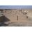 Site: Giza; View: G 2155