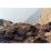 Site: Giza; View: G 2150