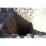 Site: Giza; View: G 2170