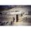 Site: Giza; View: G 2150