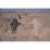 Site: Giza; View: G 2170, G 2161, G 2162, G 2163