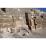 Site: Giza; View: G 2150