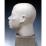 Site: Giza; view: G 4440