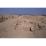 Site: Giza; View: G 2150