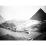Site: Giza; View: G 4000