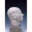 Site: Giza; view: G 4440