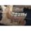Site: Giza; view: G 2100