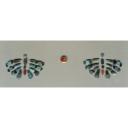 Site: Giza; view: G 7000 X