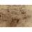 Site: Giza; View: G 2037, G 2025