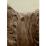 Site: Giza; View: G 1457, G 1407