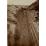 Site: Giza; View: G 1457, G 1407