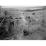 Site: Giza; View: G 2370