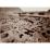 Site: Giza; View: G 2004, G 2005
