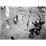 Site: Giza; View: G 2370