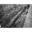 Site: Giza; View: G 1225, G 1223