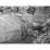 Site: Giza; View: G 1011