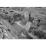 Site: Giza; View: G 1225, G 1220