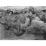 Site: Giza; View: G 1011