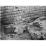 Site: Giza; View: G 1205
