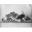 Site: Giza; view: G 7143