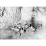 Site: Giza; View: G 2385, G 2387